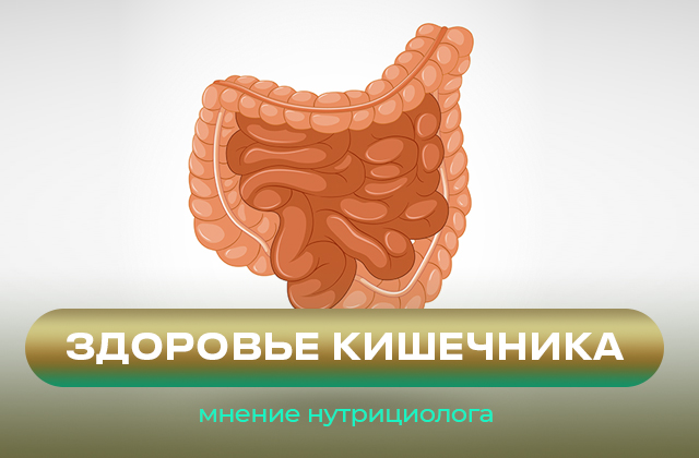 Витамины и добавки для нормализации микрофлоры кишечника