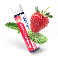 Жиросжигательный комплекс GEON™ CARNITINE POWER 3200 Клубничный мохито (25мл х 20шт.)