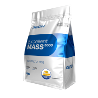 Гейнер GEON EXCELLENT MASS 5000 Апельсиновый пирог, 25% белка 920 грамм