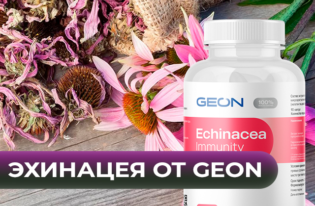 Как эхинацея пурпурная поможет укрепить иммунитет