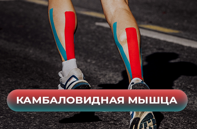 Препарат для укрепления суставов и связок GEON™ JOINT Food 100 капсул х ...