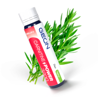 Жиросжигательный комплекс GEON™ CARNITINE POWER 3200 Тархун (25мл х 20шт.)