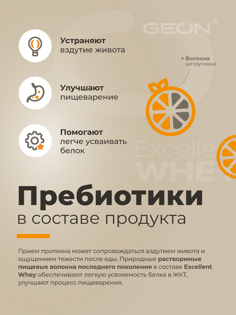 Протеин GEON EXCELLENT WHEY Печенье со сгущенным молоком, 77% белка (920г)