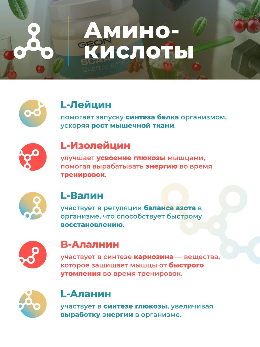 Аминокислотный комплекс GEON™ BCAA QUATTRO AMINO + β-аланин Клюква 350 грамм