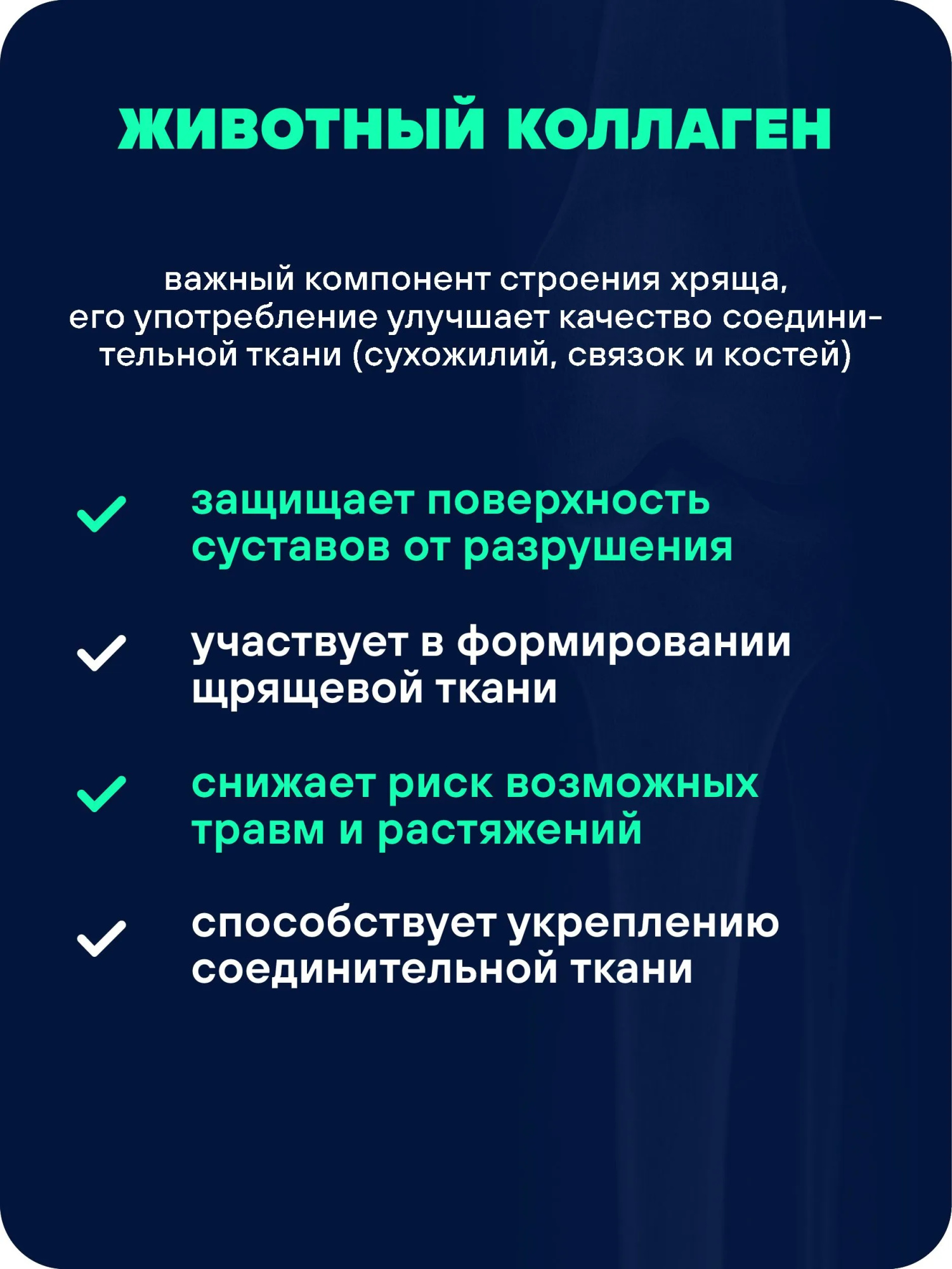 Препарат для укрепления суставов и связок GEON™ JOINT Food 100 капсул х 915 мг