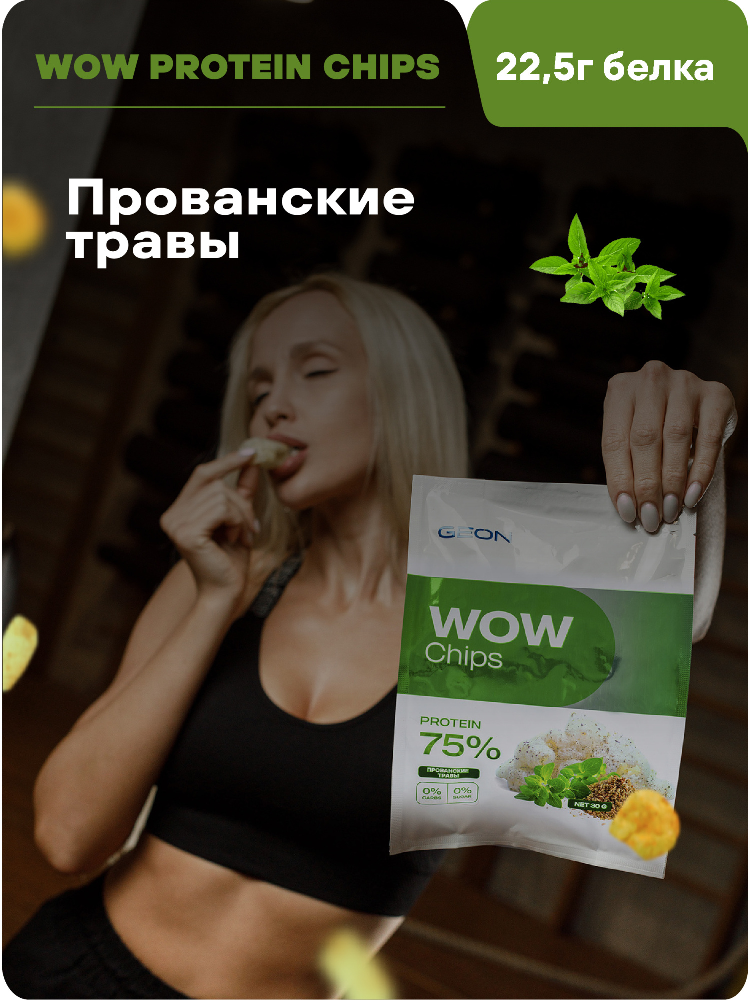 Протеиновые чипсы GEON™ WOW CHIPS Прованские травы, 75% белка (30г)