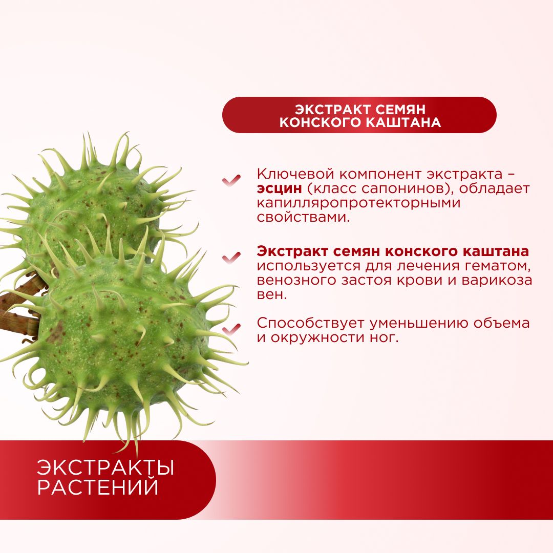 Профилактика варикоза вен GEON™ Vein Health 60 капсул x 775 мг