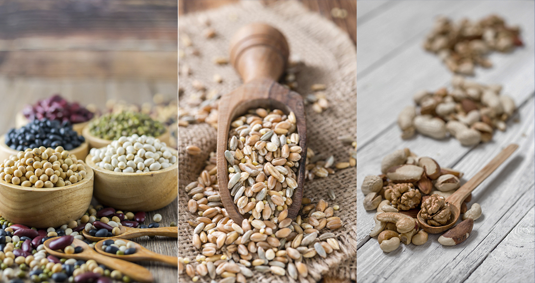 banner_ sports-nutrition-and-veganism_500.jpg