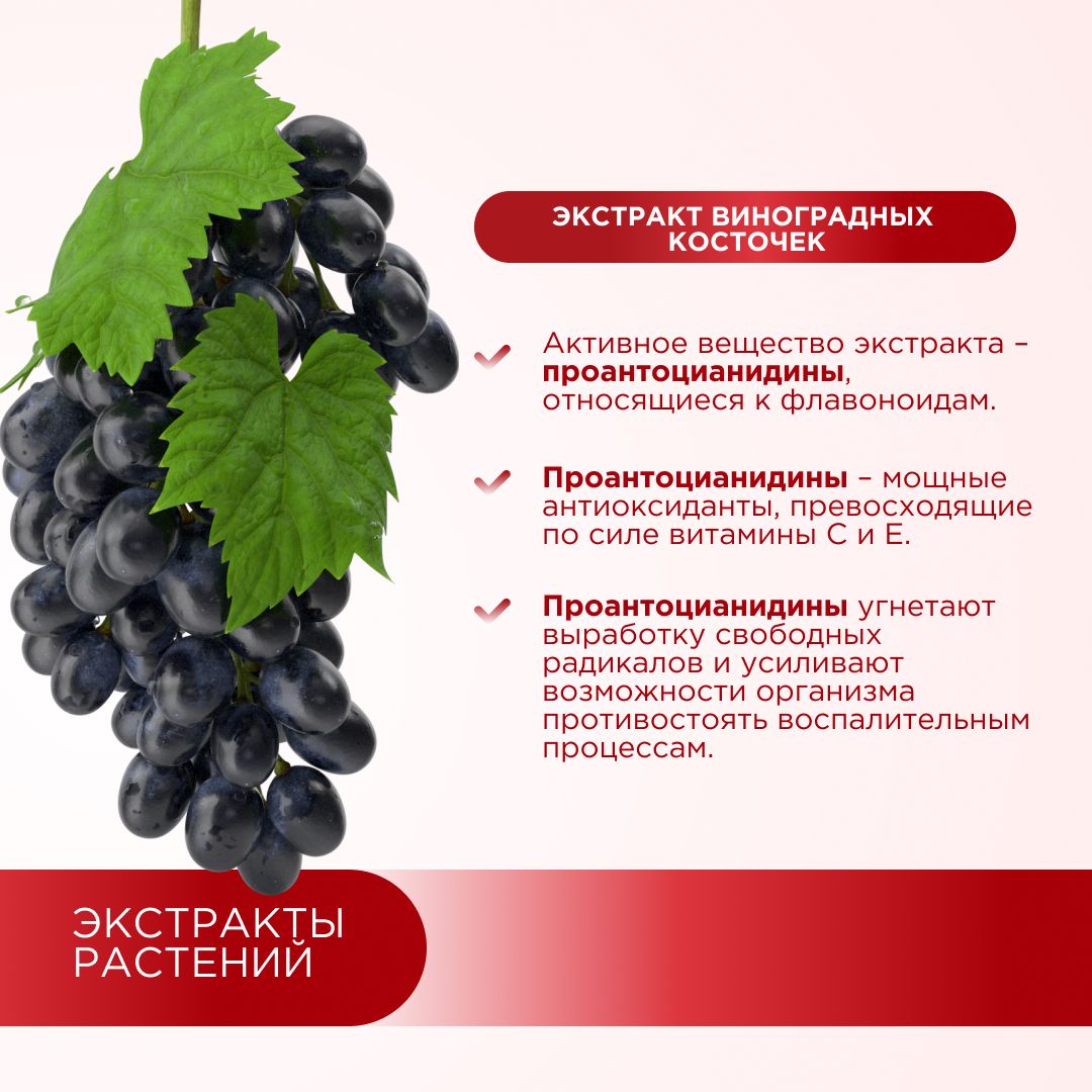 Профилактика варикоза вен GEON™ Vein Health 60 капсул x 775 мг