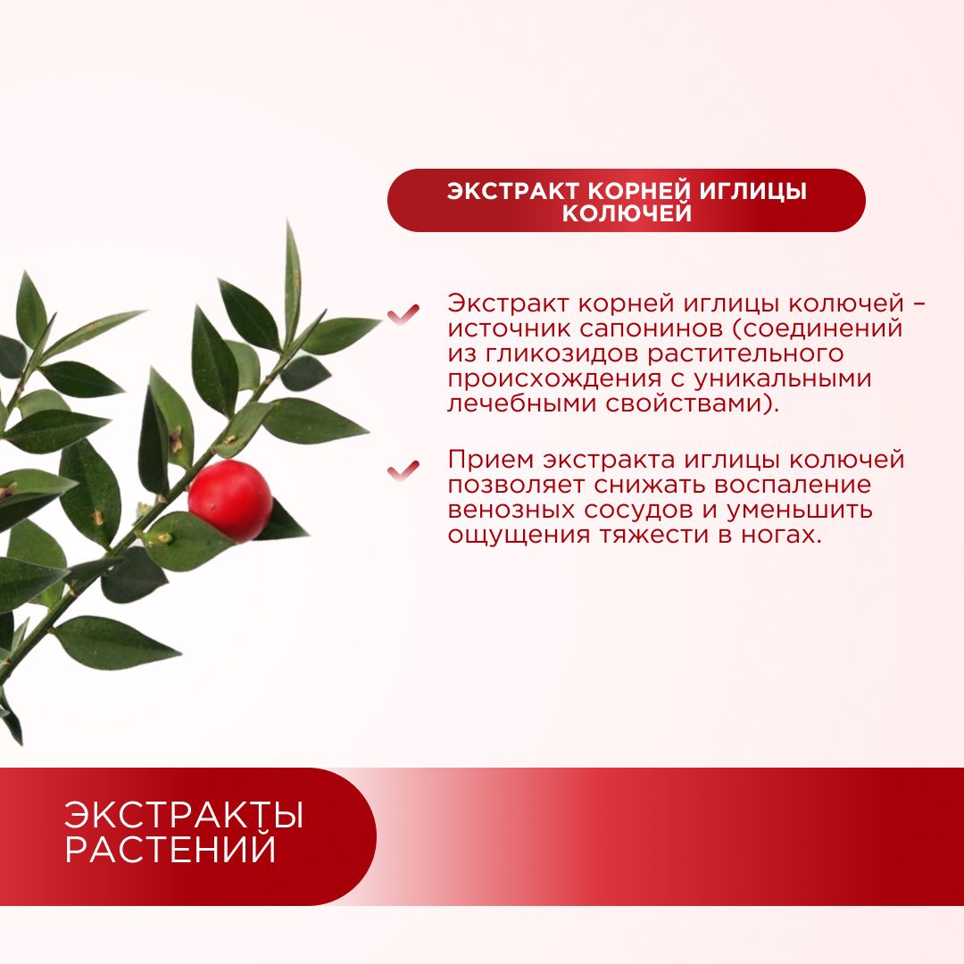 Профилактика варикоза вен GEON™ Vein Health 60 капсул x 775 мг
