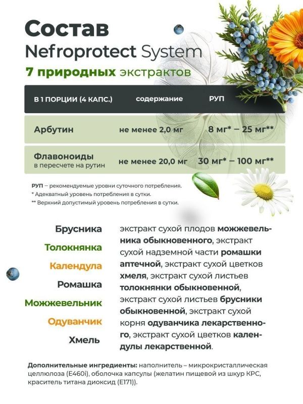 GEON™ Поддержка мочевыделительной системы Nefroprotect System 60 капсул x 620 мг