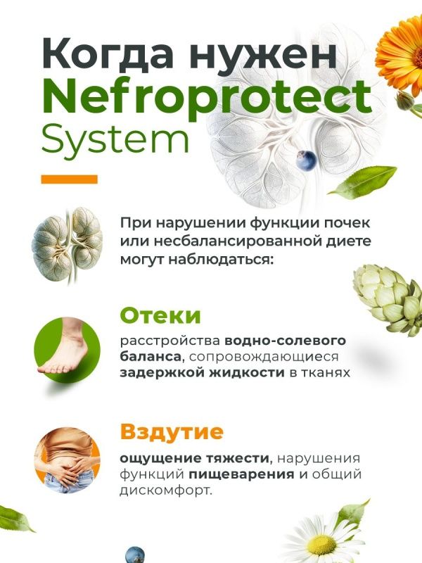 GEON™ Поддержка мочевыделительной системы Nefroprotect System 60 капсул x 620 мг