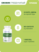 Ежовик гребенчатый GEON™ Hericium memory support