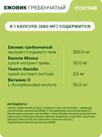 Ежовик гребенчатый GEON™ Hericium memory support