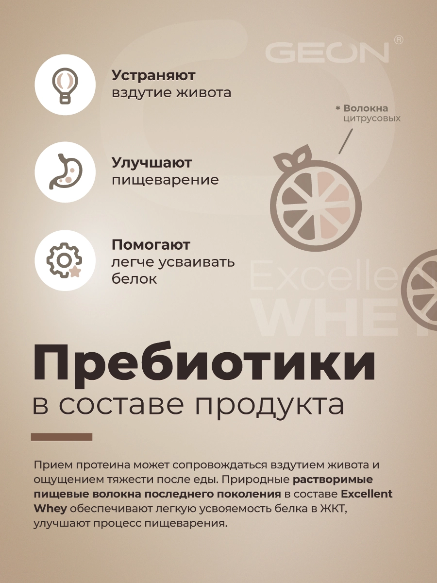 Протеин GEON EXCELLENT WHEY Шоколад, 77% белка (920г)