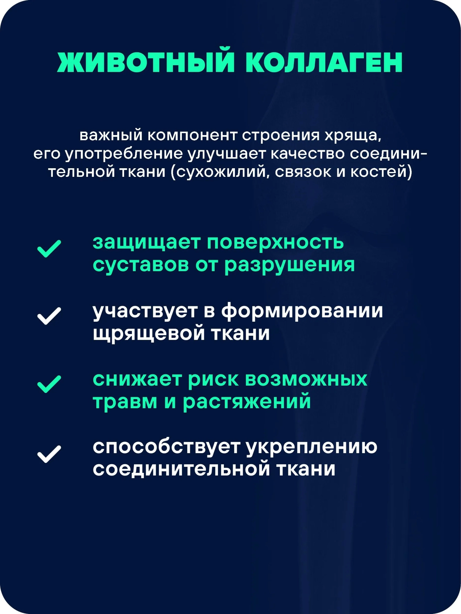 Препарат для укрепления суставов и связок GEON™ JOINT Food 100 капсул х 915 мг