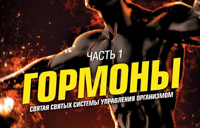 Гормоны. Святая святых управления организмом. Часть 1