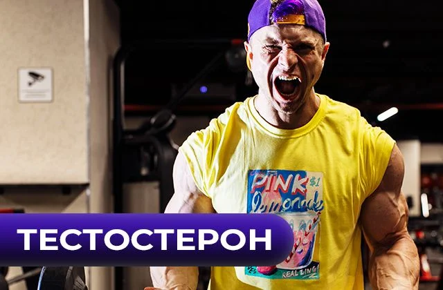 Тестостерон. Причины его снижения и методы восстановления
